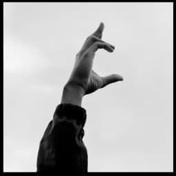 album cover 3